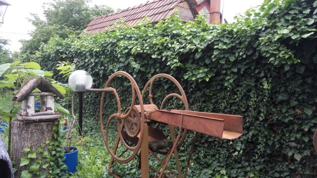 Zsiga Tünde kertje 01